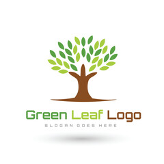 Vector designer elements set collection of green forest fern, tropical green eucalyptus greenery art foliage natural leaves herbs in watercolor style. Decorative beauty elegant illustration for design