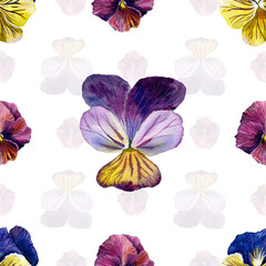 Pttern of colored pansies. watercolor illustration. for textiles, clothing, holiday decoration.