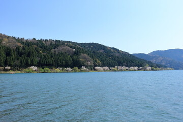 春の余呉湖畔の風景