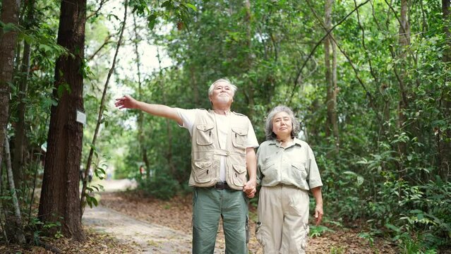Happy Asian senior couple holding hands and walking together in tropical forest. Retired elderly people man and woman enjoy outdoor activity lifestyle travel nature hiking on summer holiday vacation.