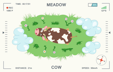 Children's cartoon illustration with a cow grazing in a juicy meadow. Top view. Video surveillance with a drone from above. Vector template