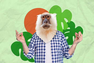 Calm head monkey chimpanzee serious face absurd metaphor collage finger balance spiritual relax...