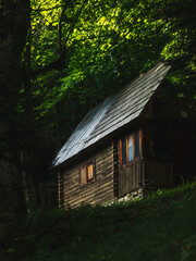 Small cabin in the woods