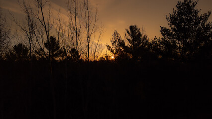 Beautiful sunrise through the Canadian boreal forest in the spring, on an April morning