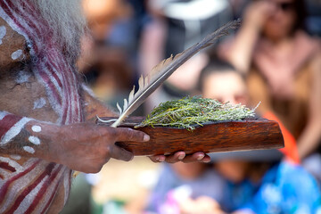 Human hands with green branches and feather, hold wooden dish with Australian plant branches, the...