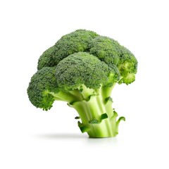 Fresh raw broccoli ingredient for cooking recipe cuisine on white background Generative AI Illustration