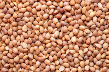 Mahlep, Mahlab or Mahaleb seeds isolated on white background