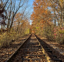 Fototapeta premium Empty railroad surrounded by autumn trees and bushes
