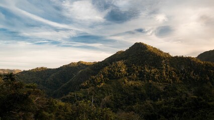 Aerial view of mountain landscape surrounded by dense trees