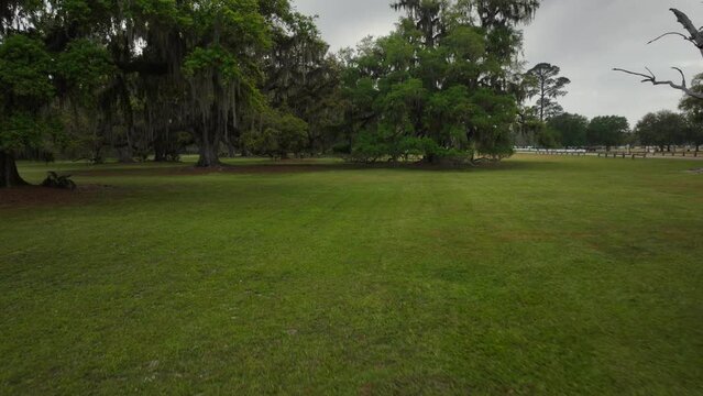 Droning through old oak trees with Spanish Moss