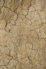 View of the cracked earth.