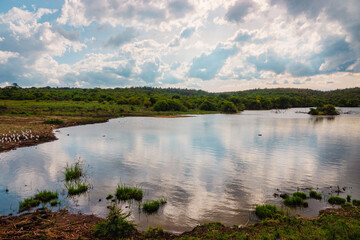 A watering hole in Nairobi National Park, Kenya