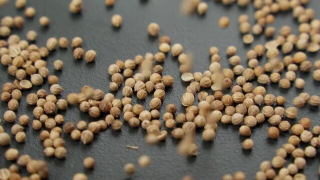 Macro shot of coriander seeds. Organic food, healthy lifestyle. Medicinal herbs and spices. Slow motion
