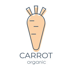 Single minimalist vector design element Orange Carrot on a white background