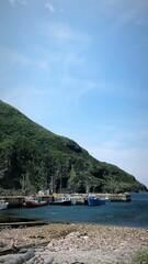 Vertical shot of boats moored at a port against green mountains on a sunny day