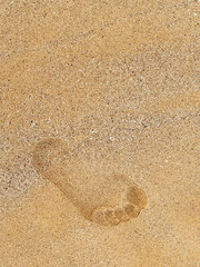 Leaving footprint on the sand. Close-up footprint from foot step walking on the sand beach, top view with copy space, vertical style. Beach travel, summer background concept.