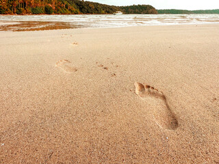 Leaving footprint on the sand. Close-up footprint from foot step walking on the sandy beach on sea and rock island view with copy space. Beach travel, summer background concept.