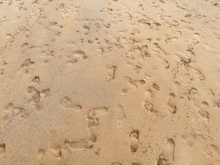 Fototapeta na wymiar Many leaving footprint on the sand. Close-up many people footprint from foot step walking many direction on the sand beach. Beach travel, summer background concept.