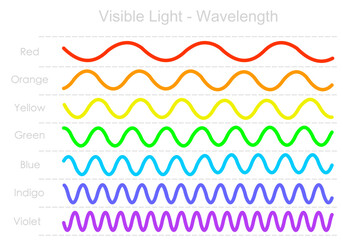 Colors wavelength range, long, short line waves. Red, yellow, green, blue, violet, color light frequency, rainbow. Visible electromagnetic spectrum diagram. Ultraviolet to infrared radiation. Vector - obrazy, fototapety, plakaty