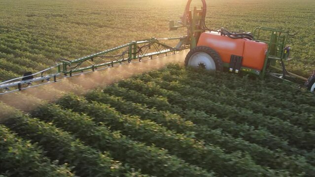 Aerial view of crop sprayer spraying pesticide on a soybean field at sunset, Drone shot flying over agricultural soybean field, tractor and crop sprayer protection plants to increase crop yield
