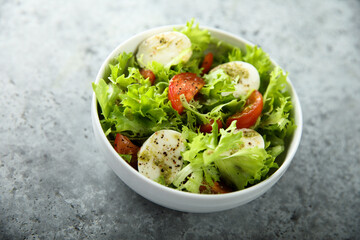 Healthy green salad with mozzarella and tomatoes