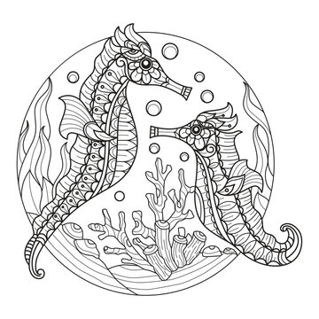 Sea horse hand drawn for adult coloring book