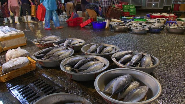 Fresh caught fish displayed for trading at Tho Quang fish market, Vietnam