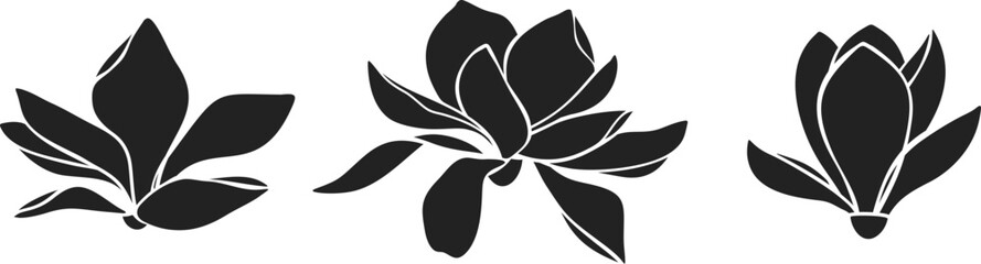 Magnolia flowers. Set of magnolia flower black silhouettes isolated on a white background. Vector illustration - obrazy, fototapety, plakaty