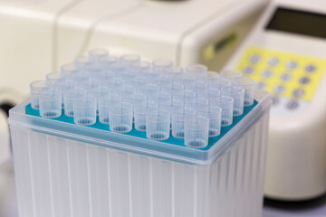 disposable plastic test tubes in the stand on the chemical laboratory table