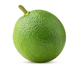 Fresh green lime, whole
