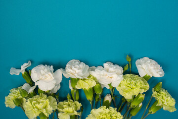 카네이션 꽃과 카피공간