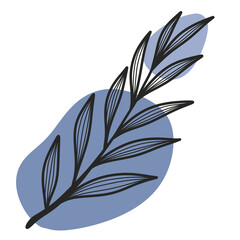 illustration of leaf