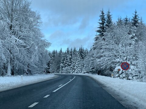 Snow covered landscape in Ardennes forest near Signal de Botrange in Belgium