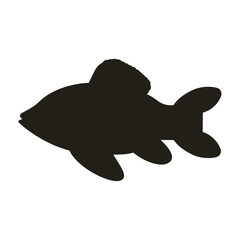 Fish crucian carp silhouette