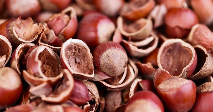 A large amount of hazelnut shells with a small amount of hazelnut kernels, debris left after peeling the hazelnuts from the shell