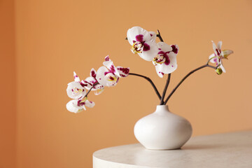 Vase with orchid flowers on white table near light brown wall. Space for text