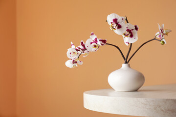 Vase with orchid flowers on white table near light brown wall. Space for text