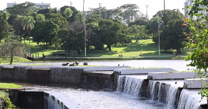 Internal areas of the Parque das Na&ccedil;&otilde;es Ind&iacute;genas in Campo Grande, Mato Grosso do Sul, Brazil