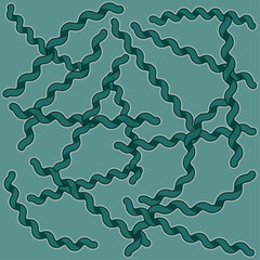 Spirulina platensis is a nutrient-rich blue-green algae with potential health benefits and a distinctive flavor, often used in smoothies and salads.