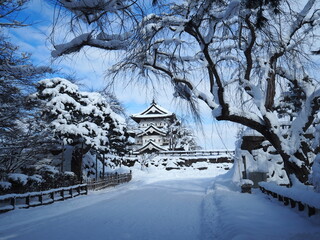 青森県弘前城雪景色
