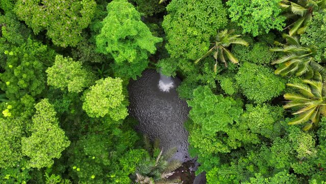 Tibumana Waterfall referred to by locals as Air Terjun Tibumana is one of the most beautiful hidden waterfalls in Bali, which located in Bangli region.