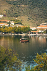 Fototapeta na wymiar Douro Autumn Vineyard Landscape - Régua 
