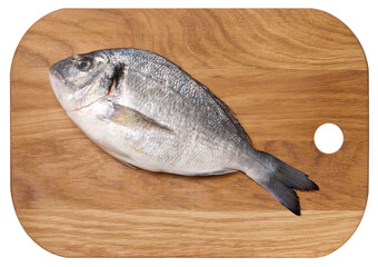 Raw whole dorado fish on a rectangular wooden board, white isolated background