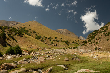 Vast mountain pastures in the Turkestan Range of Kyrgyzstan.