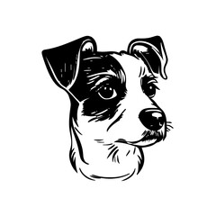 Dog head vector