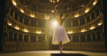 Low Angle Shot of Young Graceful Classical Ballet Female Dancer Performing on Theatre Stage with Dramatic Spotlight Lighting. Woman in a White Tutu Dancing and Rehearsing her Choreography for the Show © Kitreel