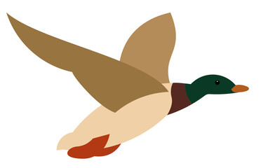 Duck Cartoon Flat design Resource