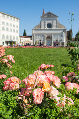 Blumen an einer Kathedrale in Florenz
