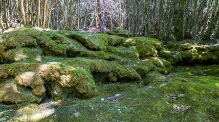 Rivière sécheresse