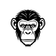Chimpanzee head vector illustration isolated on transparent background